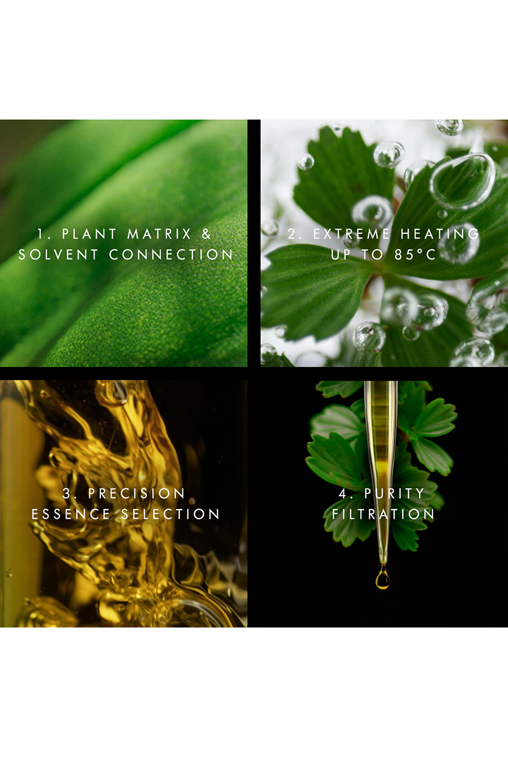 תמונת תקריב של תחליב לחות קרמה נרה SPF 50