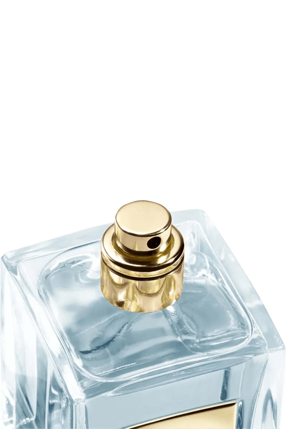 תמונה אחורית של Iris Bleu Eau de Toilette V100 ml