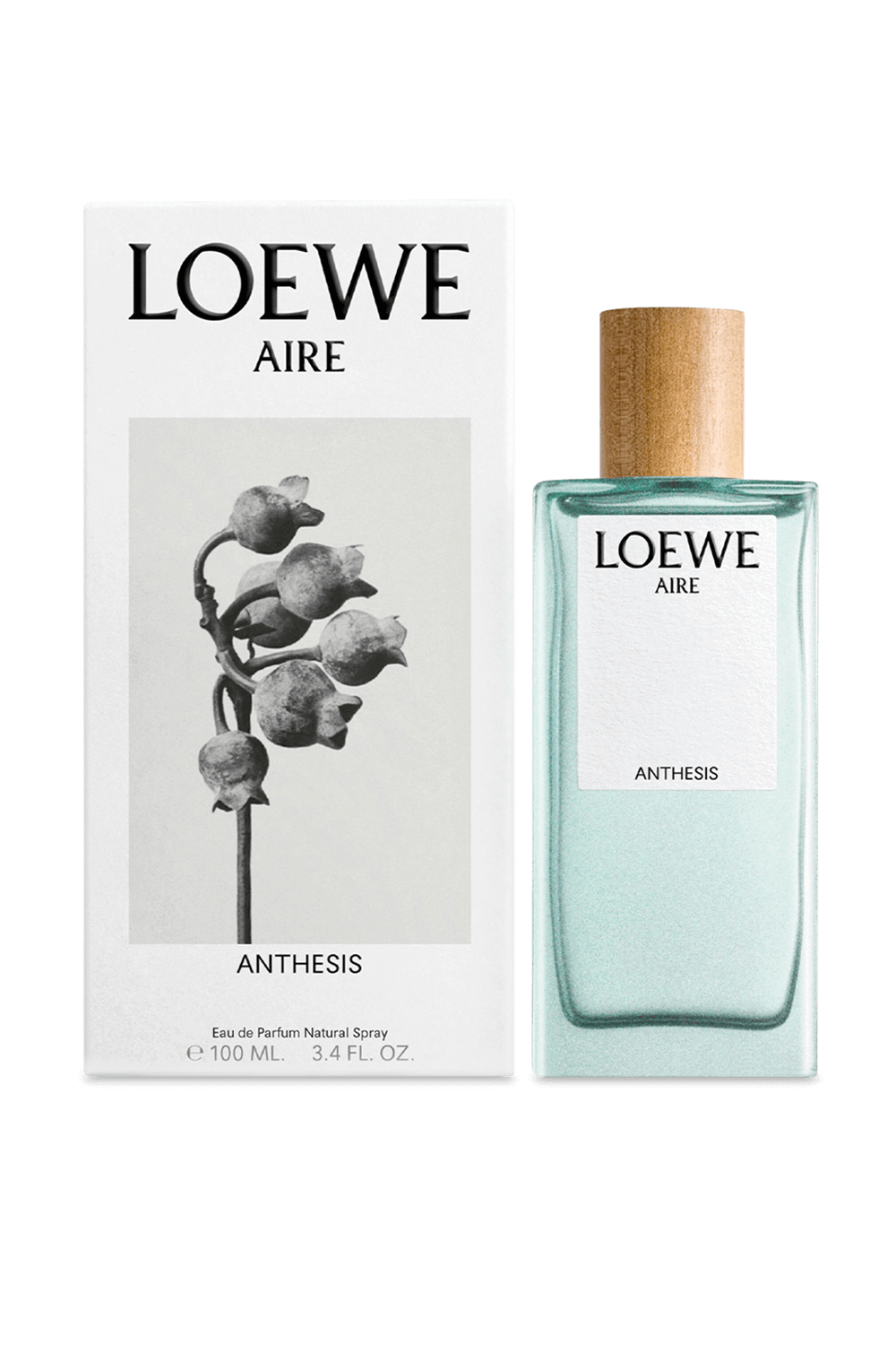 תמונה אחורית של LOEWE  Aire Anthesis Eau de Parfum 100 ml