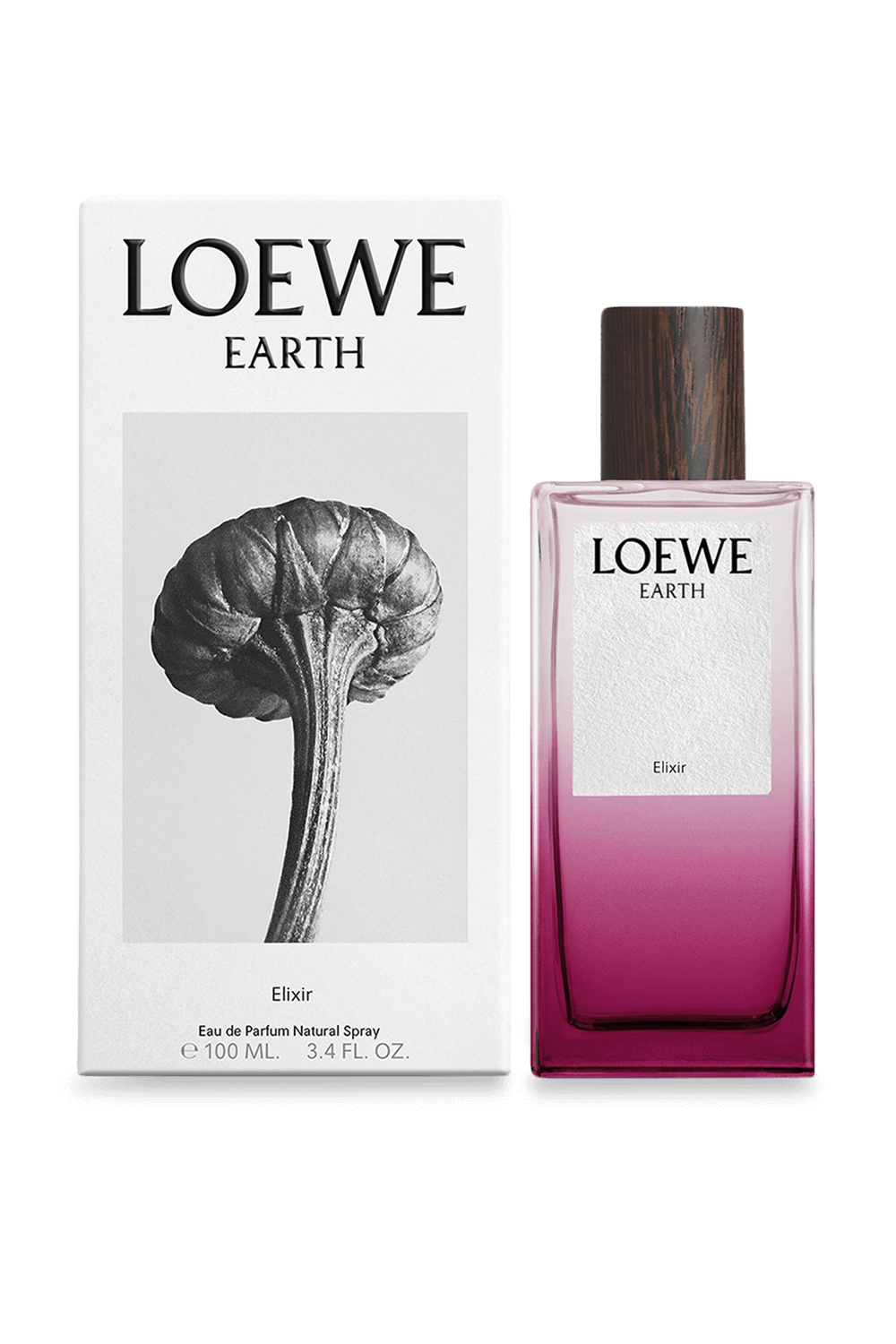 תמונה אחורית של LOEWE Earth Elixir 100ml