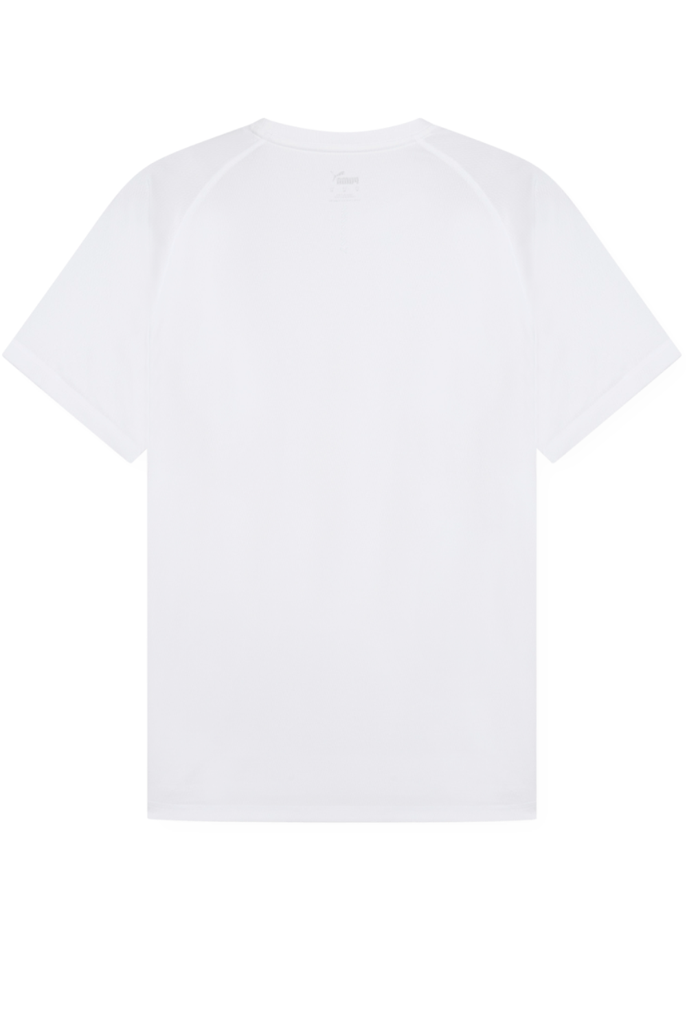 תמונה אחורית של טישירט