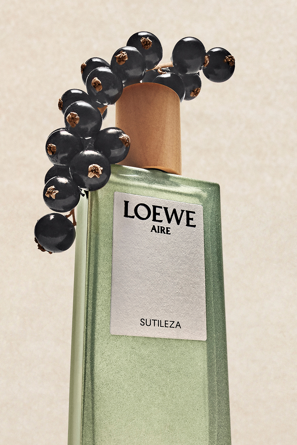 LOEWE Aire Sutileza Eau de Toilette 100 ml