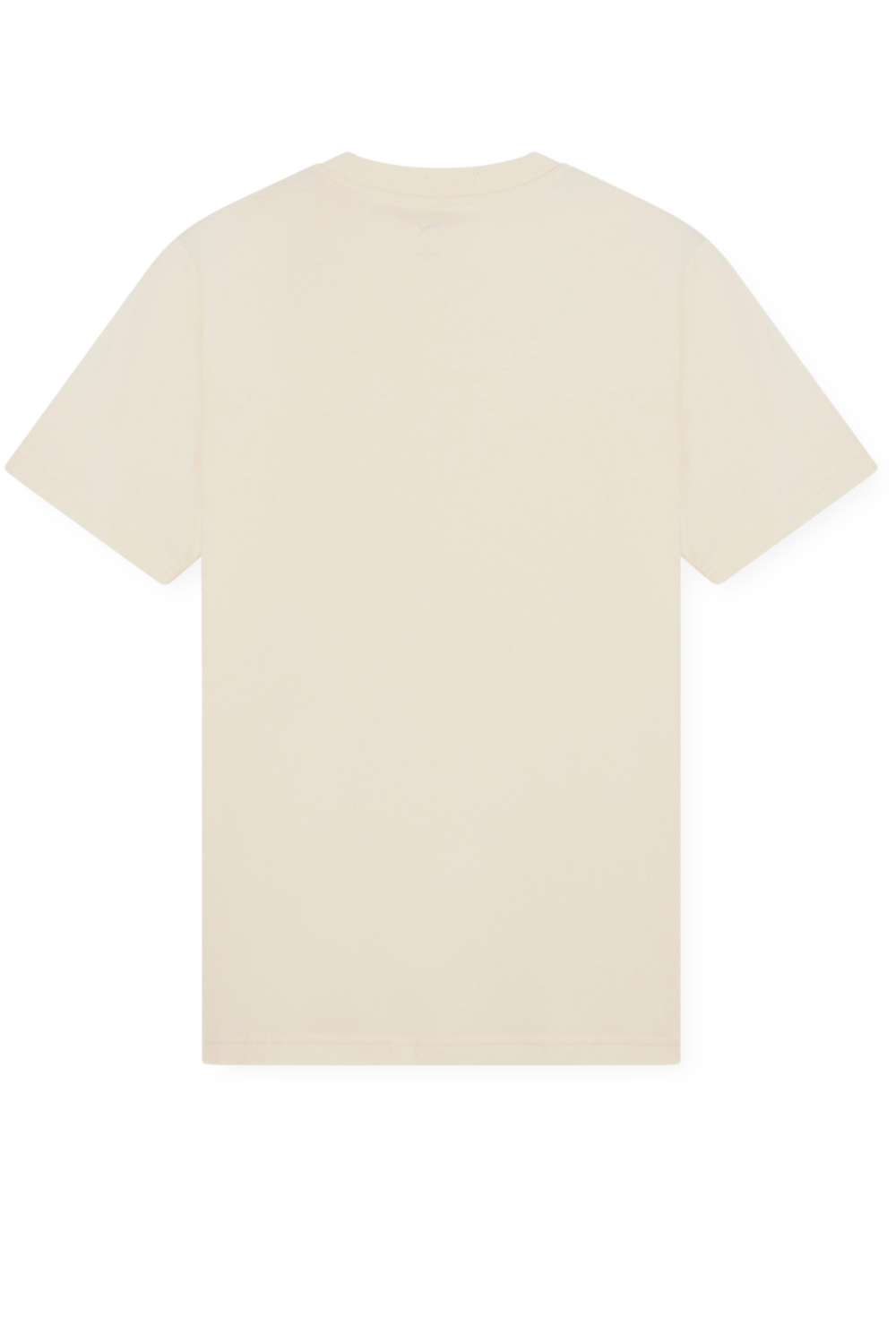 תמונה אחורית של חולצת טי