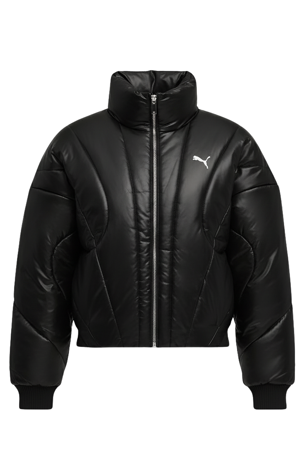 תמונה קידמית של מעיל פוך