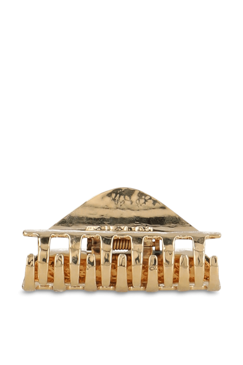 תמונה אחורית של קליפס לשיער