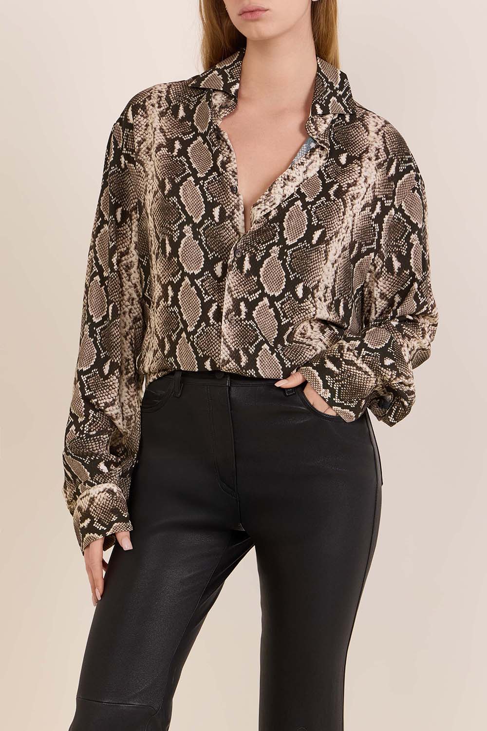 תמונת דוגמן קידמית של חולצת כפתורים