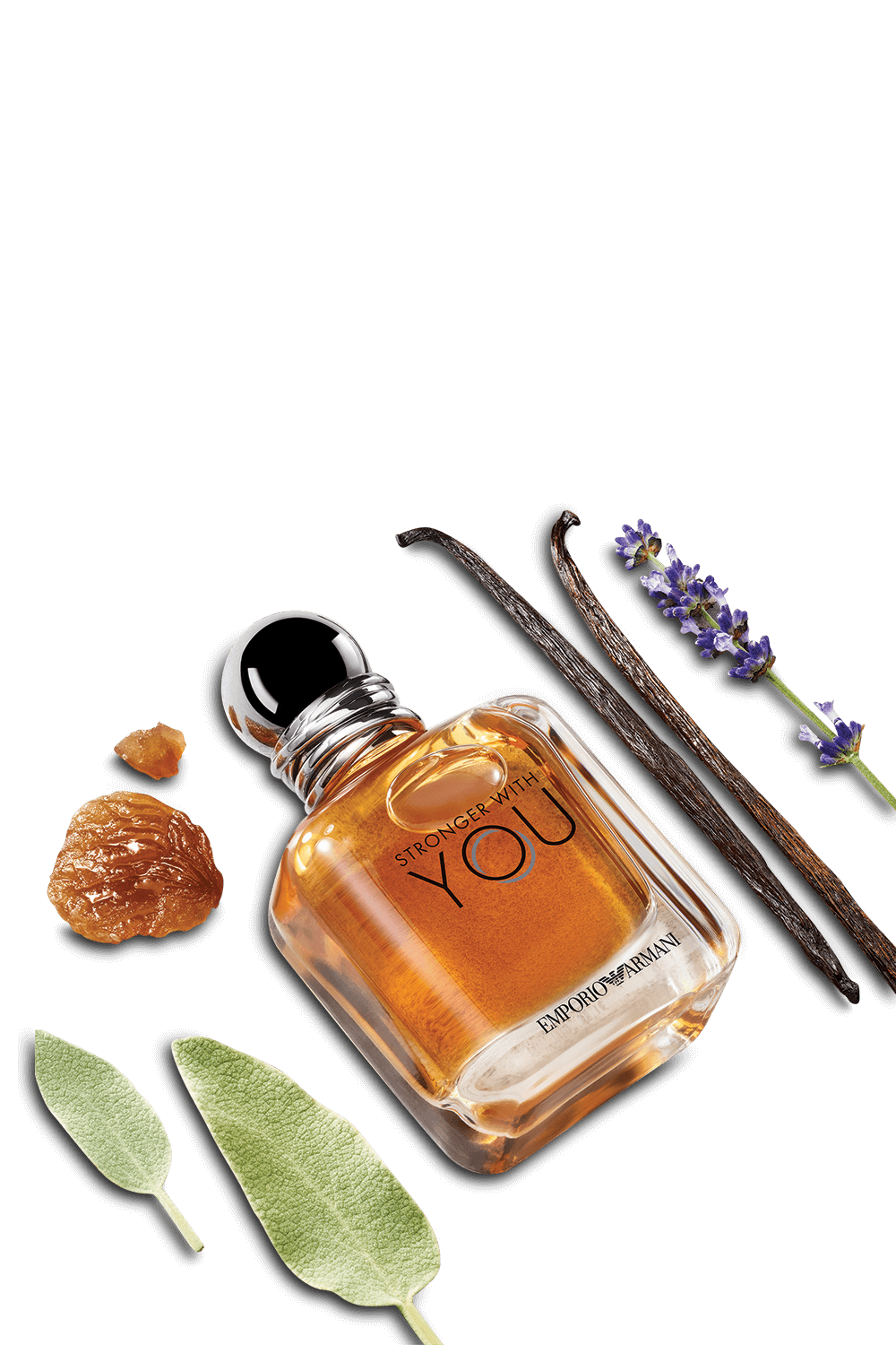 תמונה אחורית של Emporio Armani Stronger With You Eau de Toilette - 100 ml