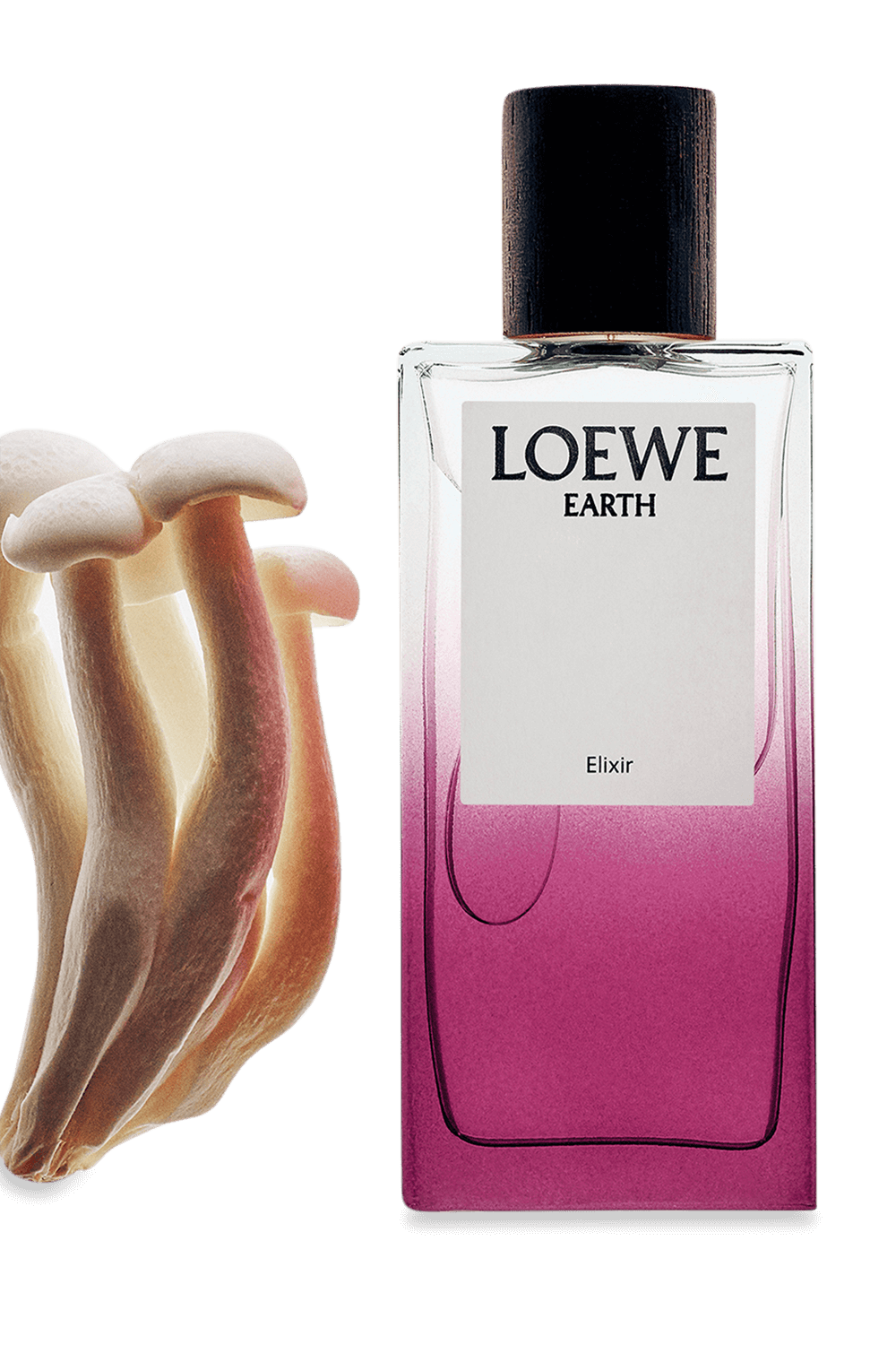 תמונת תקריב של LOEWE Earth Elixir 100ml