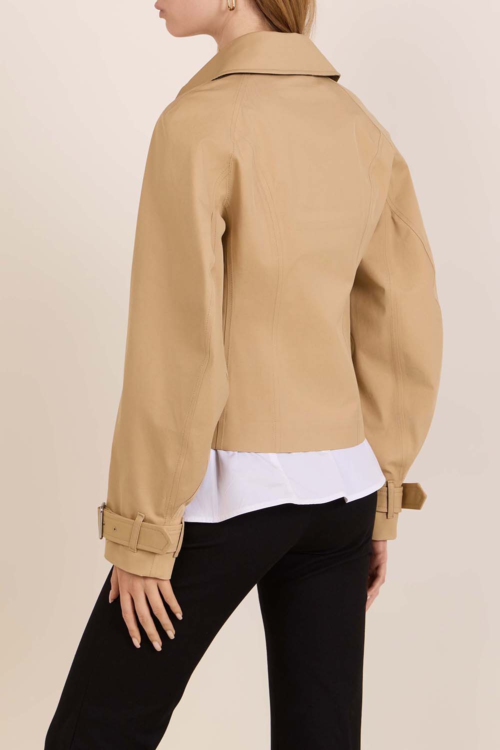 תמונת דוגמן אחורית של ז'קט טרנץ'