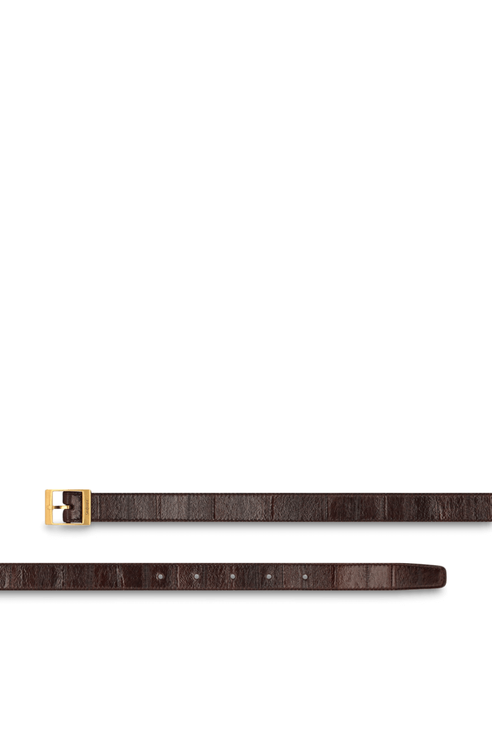 תמונה אחורית של חגורה