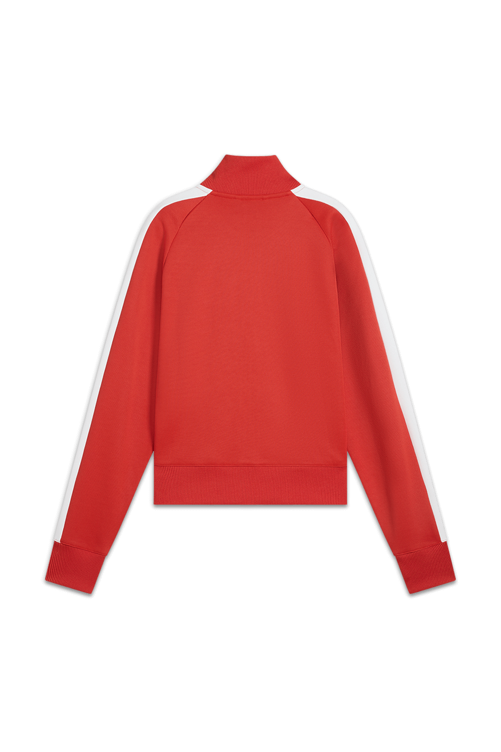 תמונה אחורית של סווטשירט