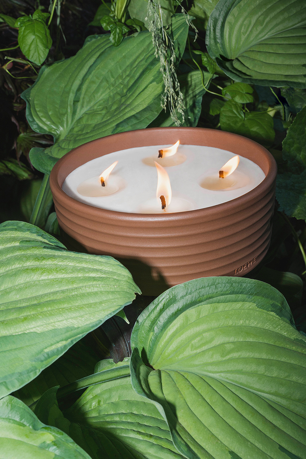 תמונת פנים של LOEWE Thyme Outdoor Candle