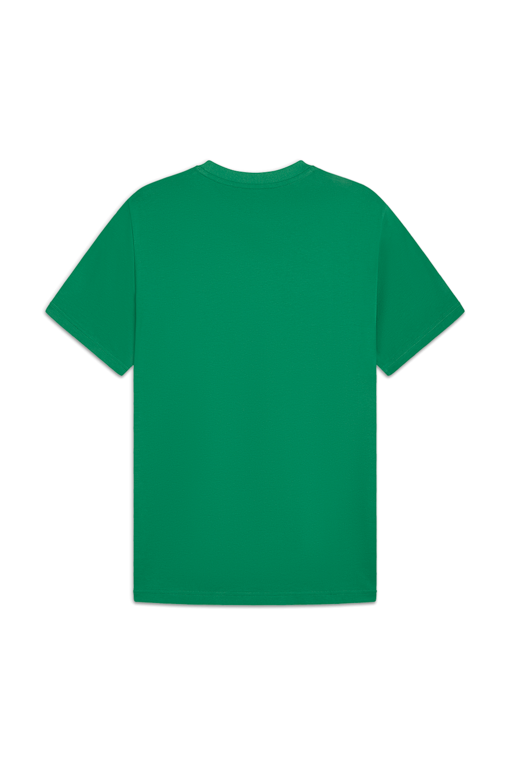 תמונה אחורית של חולצת טי