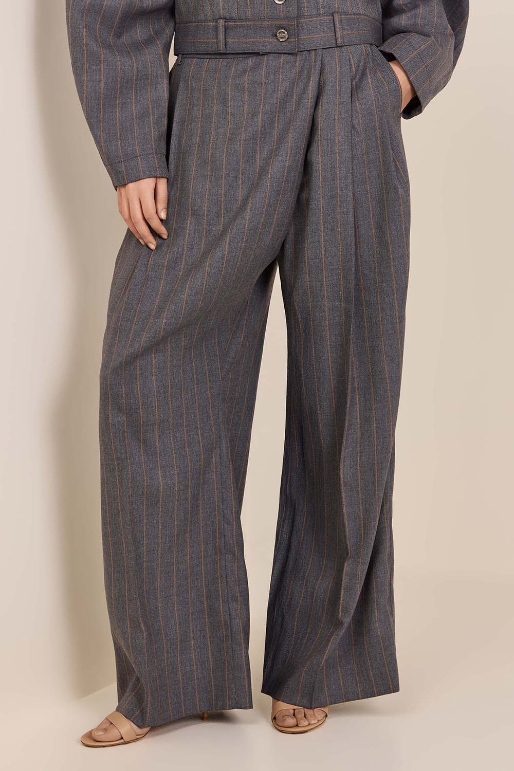 תמונת דוגמן קידמית של מכנסי צמר עם פסים