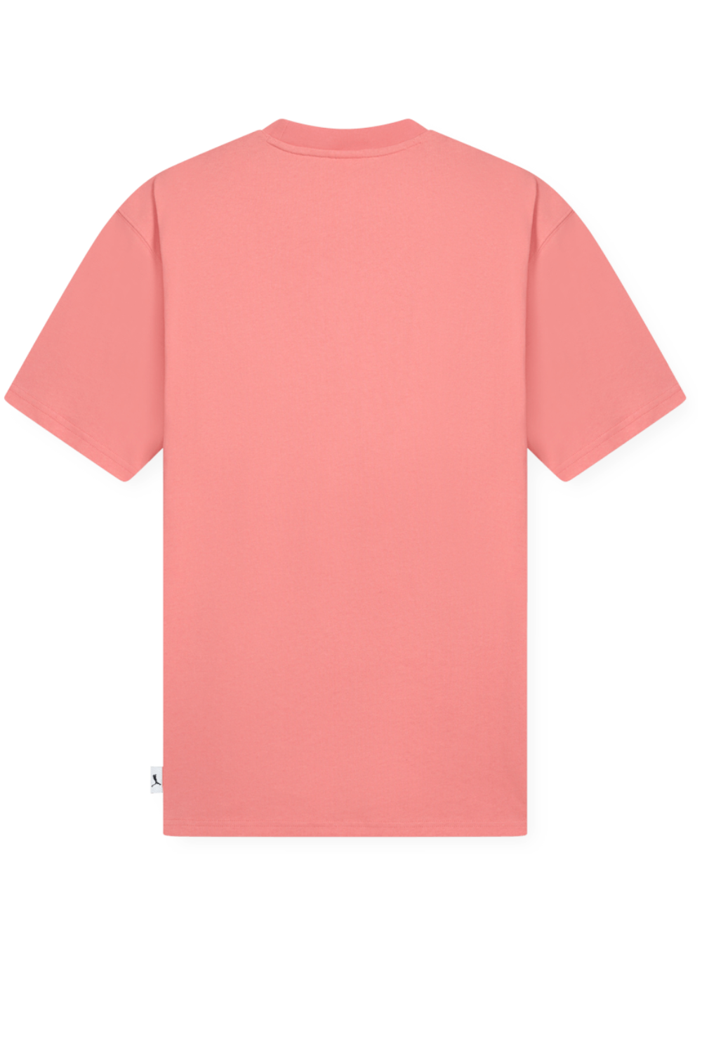 תמונה אחורית של חולצה