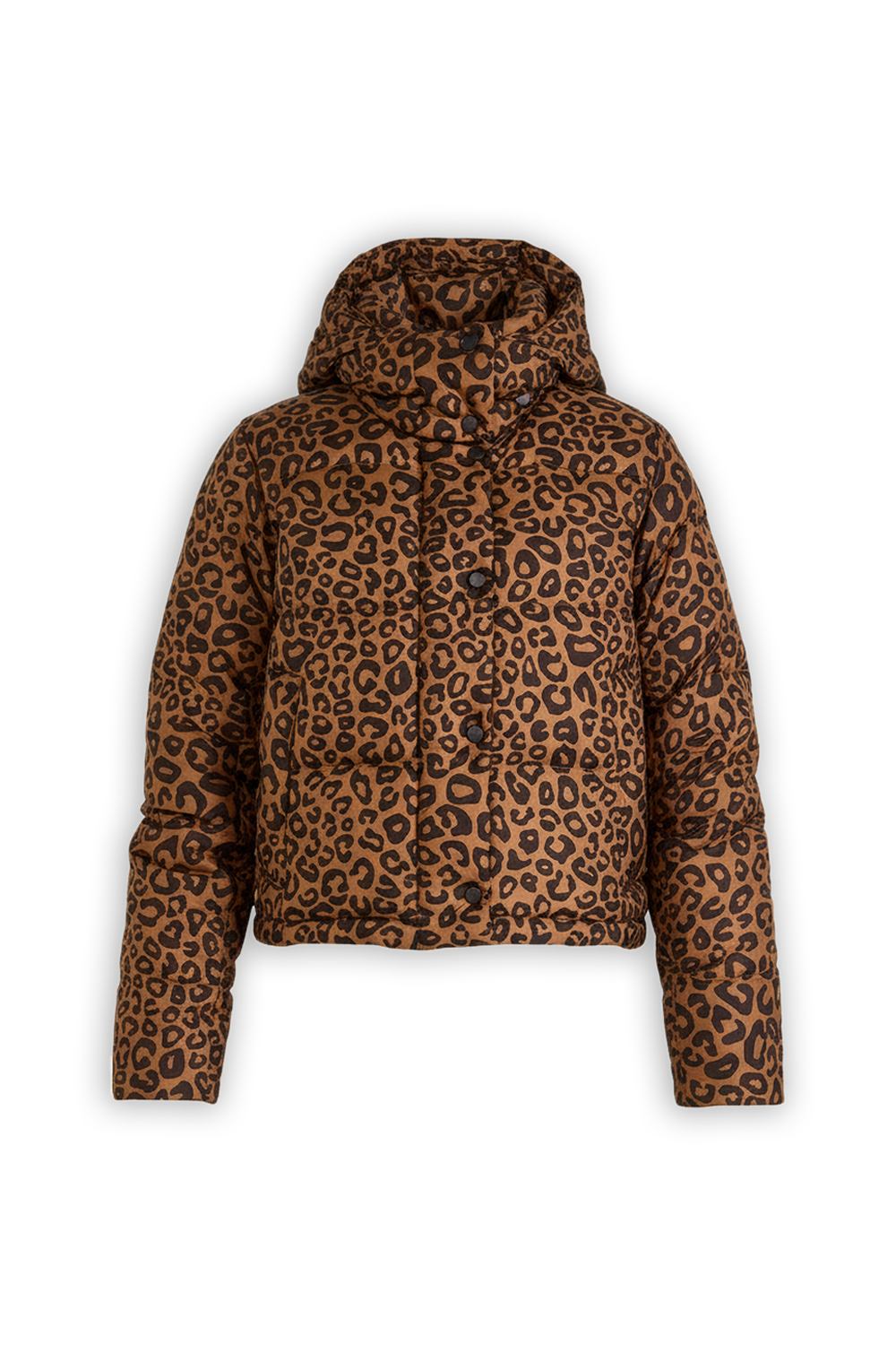 תמונה קידמית של Wunder Puff Cropped Jacket