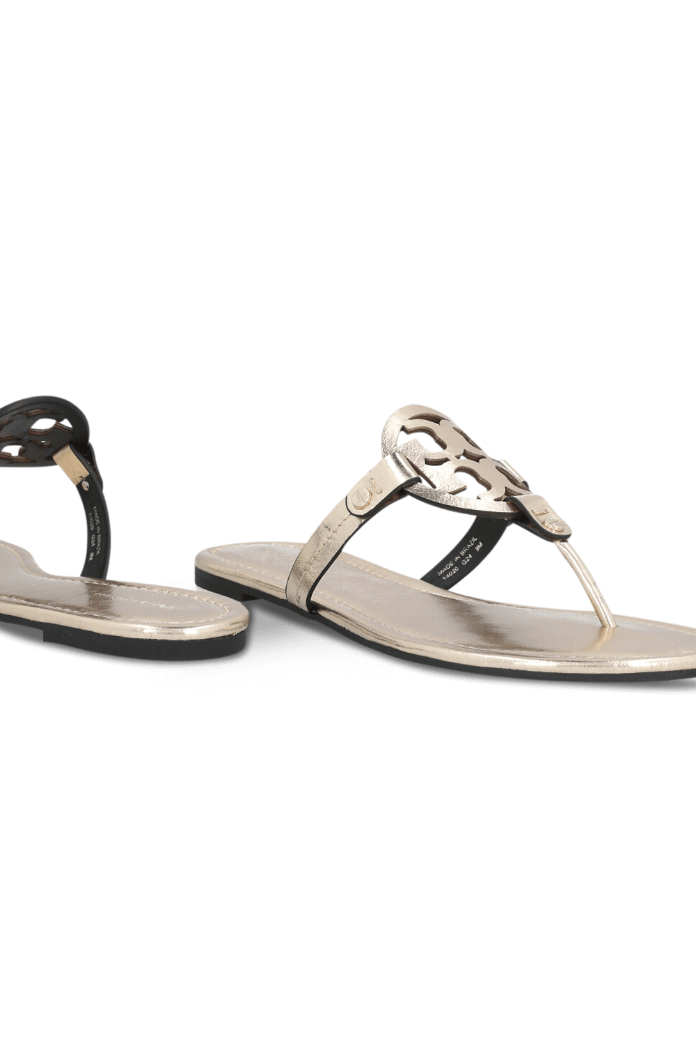 תמונת תקריב של סנדלי מילר