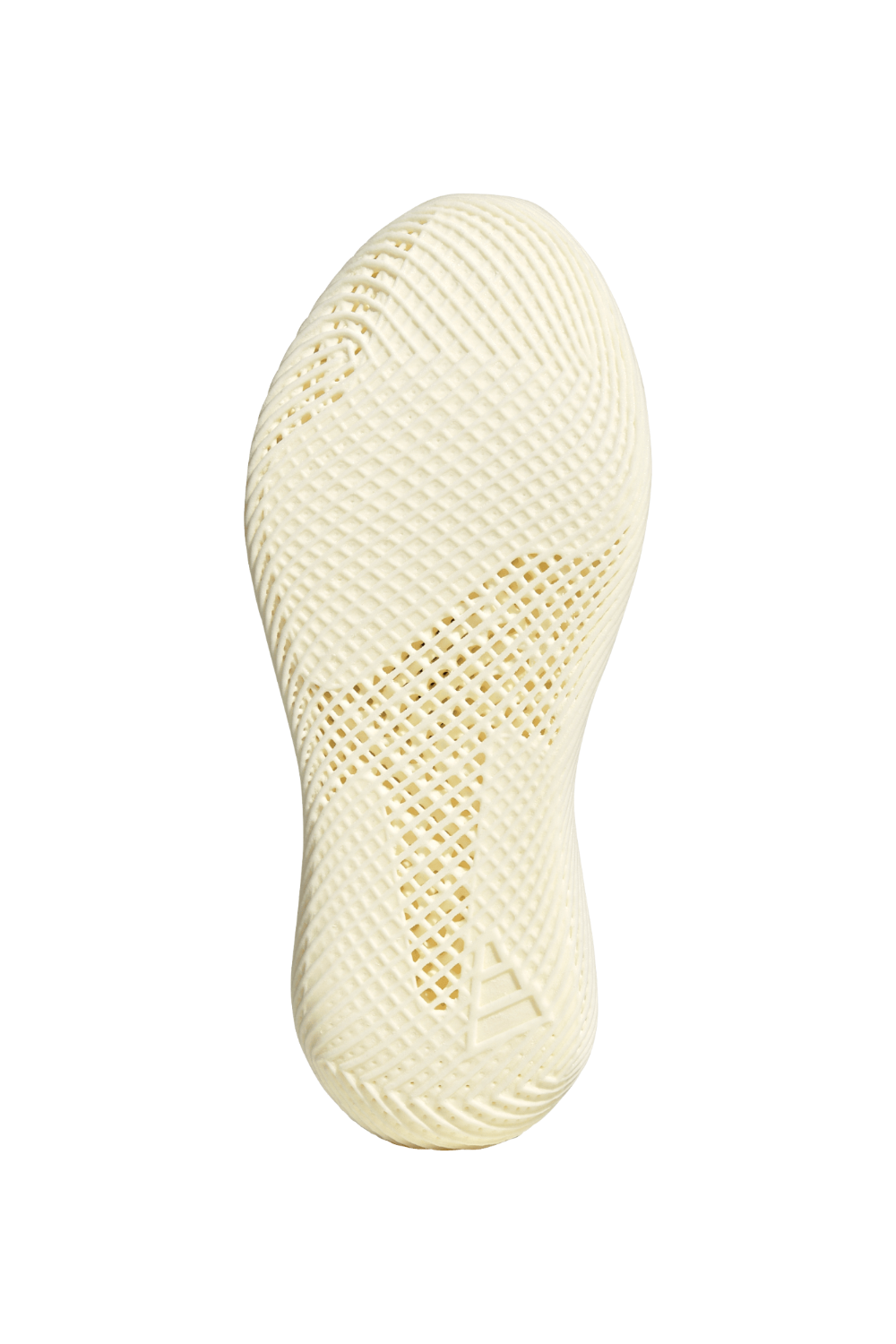 נעלי סניקרס