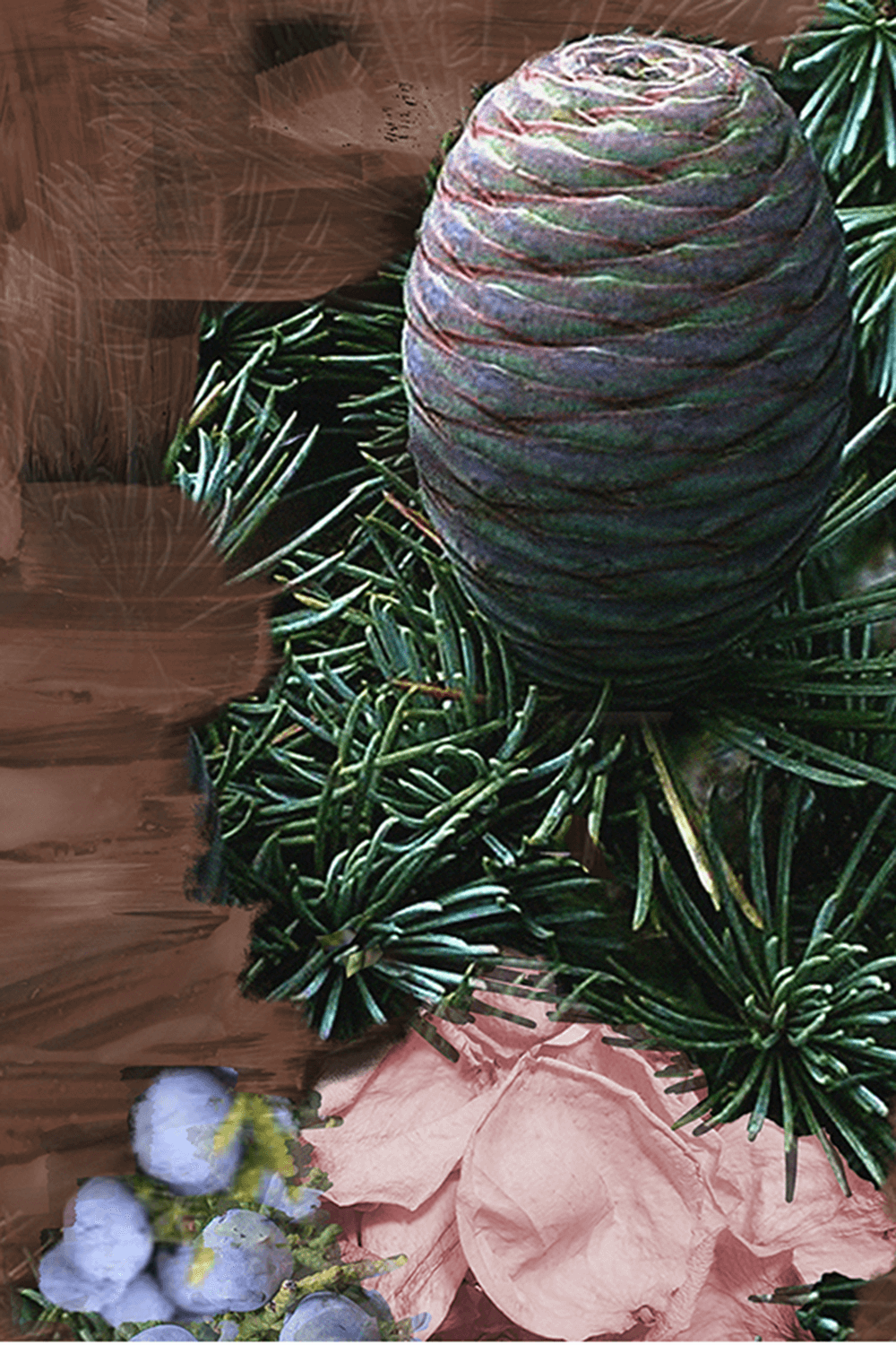 תמונת פנים של Super Cedar Eau de Parfum 100 ML