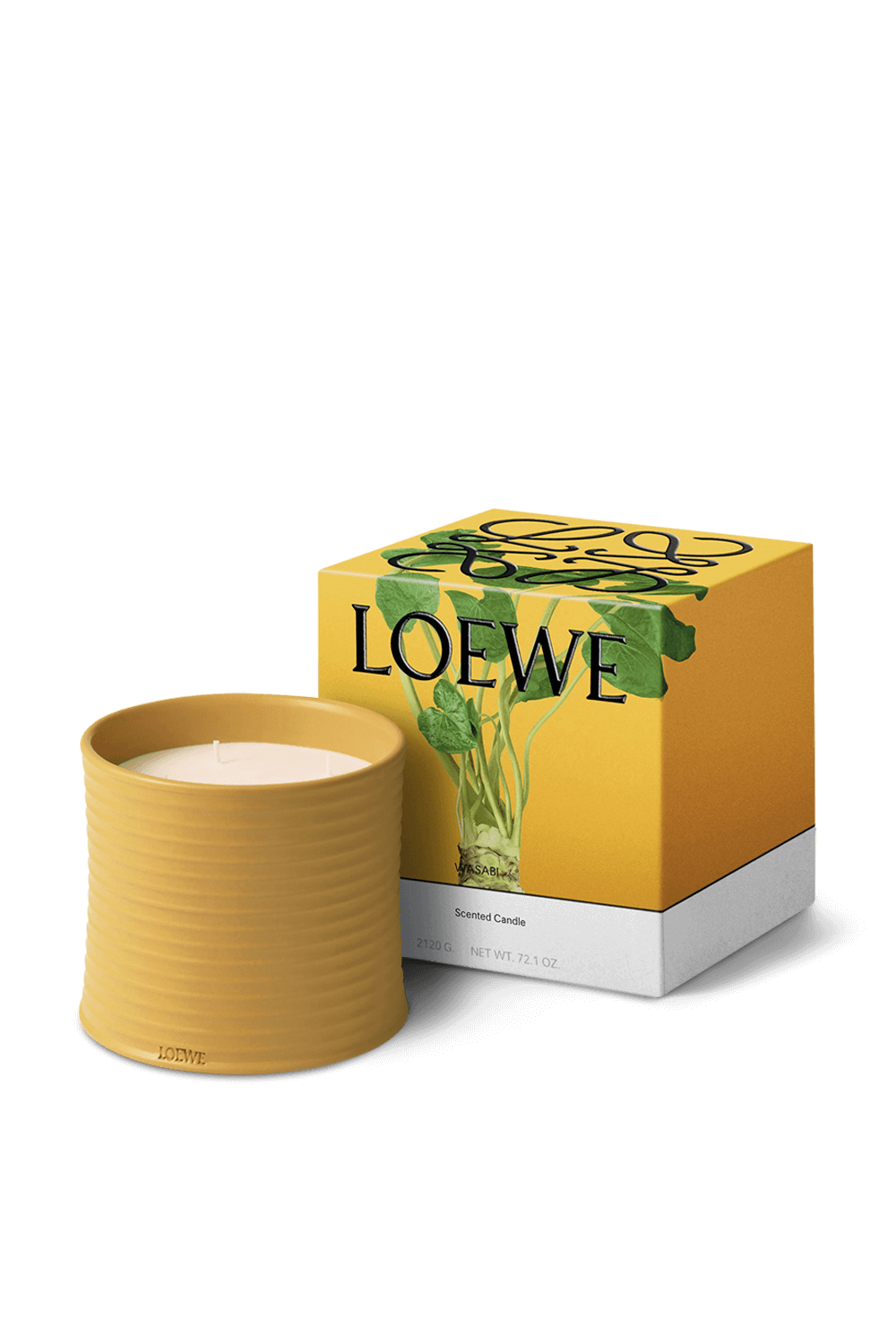 תמונה אחורית של LOEWE Wasabi Large Scented Candle