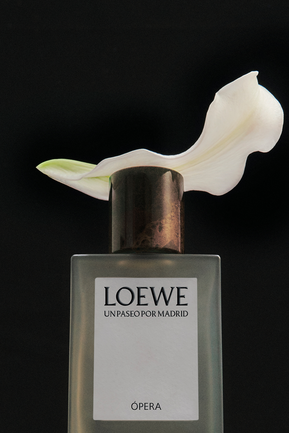 תמונת פנים של LOEWE UPPM Opera Eau de Parfum 100 ml