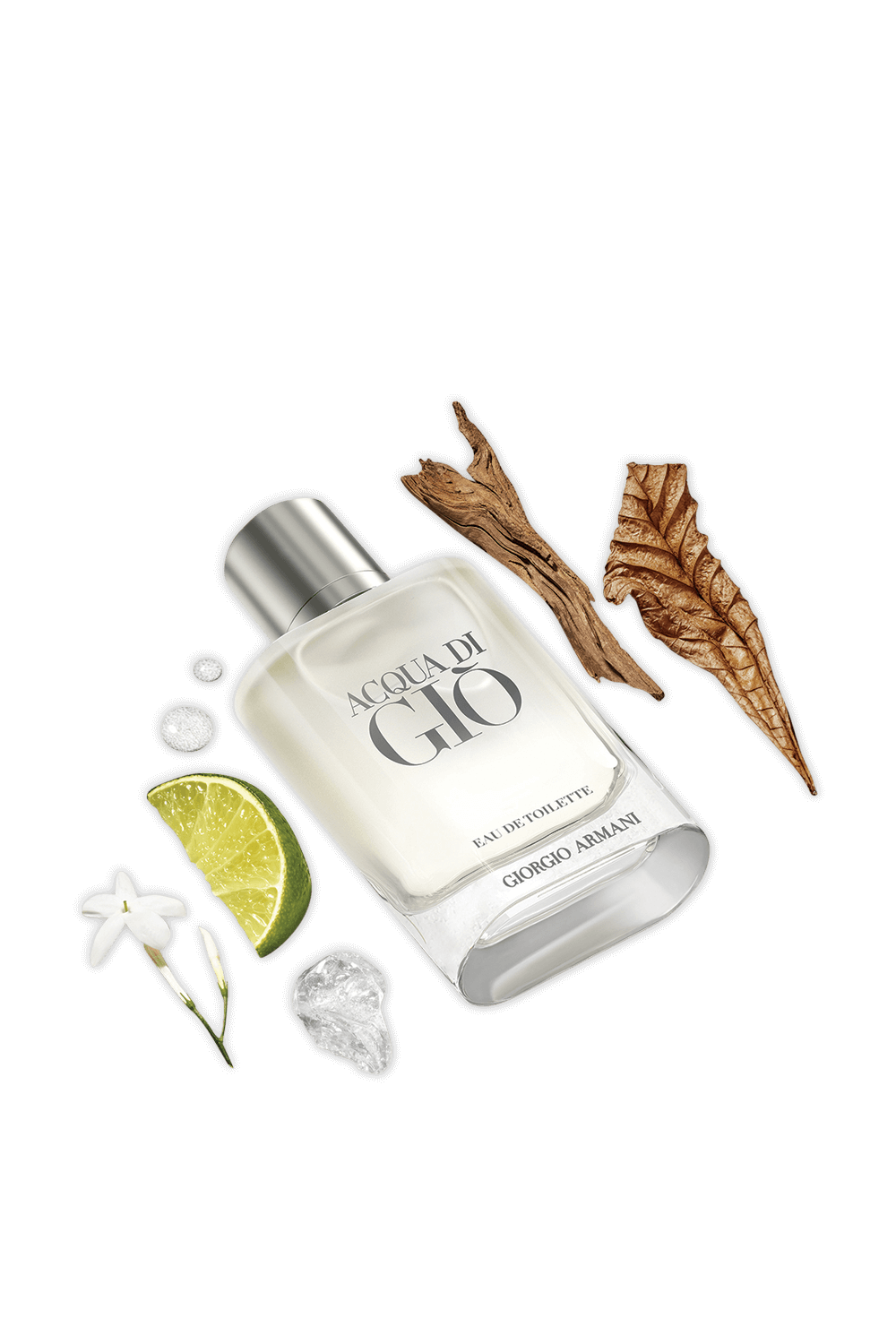 תמונה אחורית של Aqua di Gio Eau de Toilette 100 ml