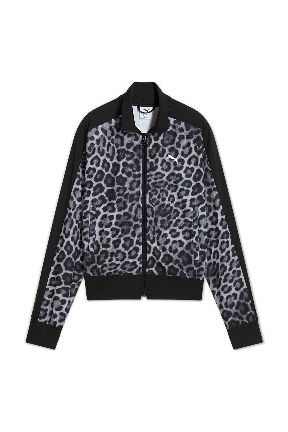 תמונה קידמית של סווטשירט