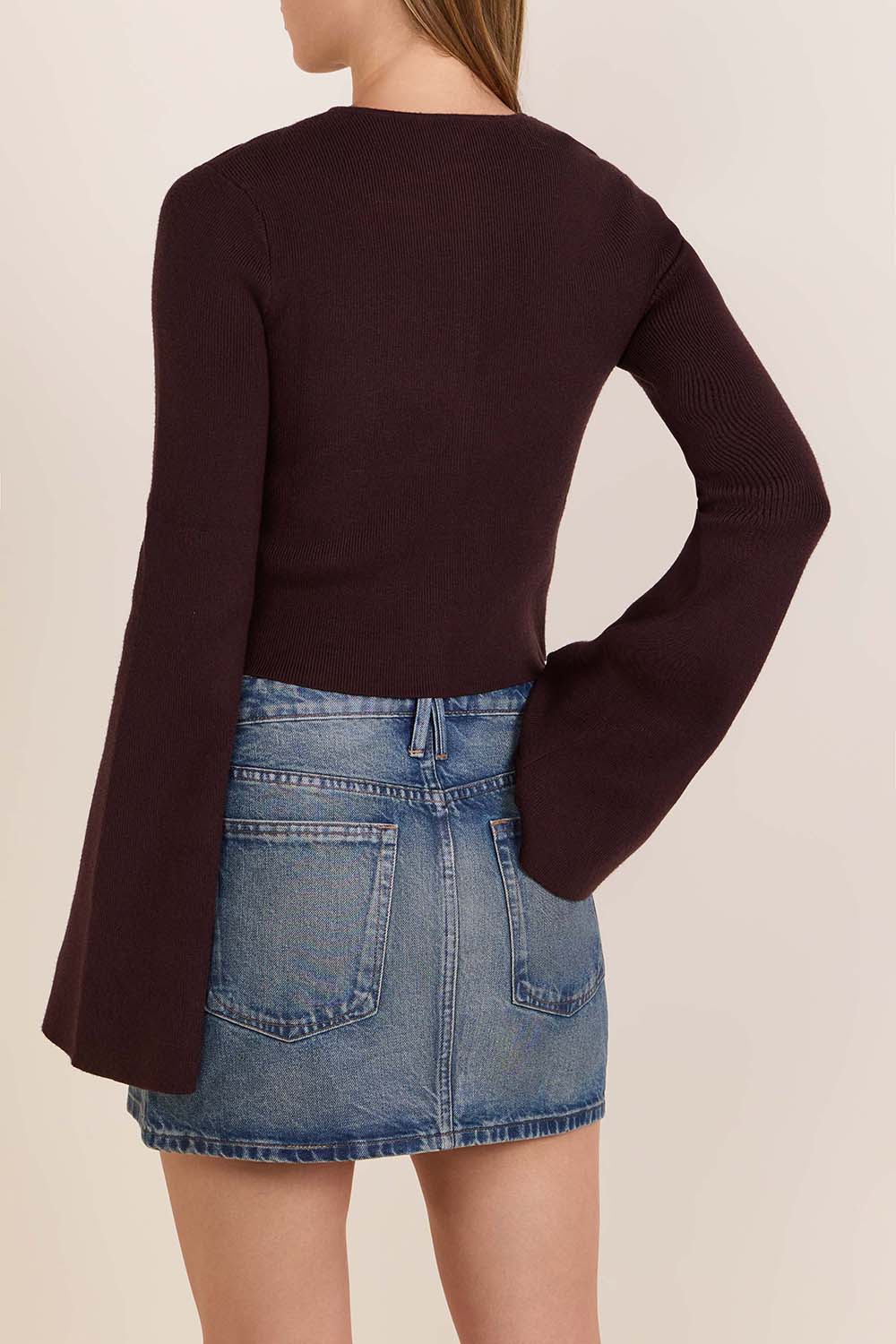 תמונת דוגמן אחורית של קרדיגן ריב