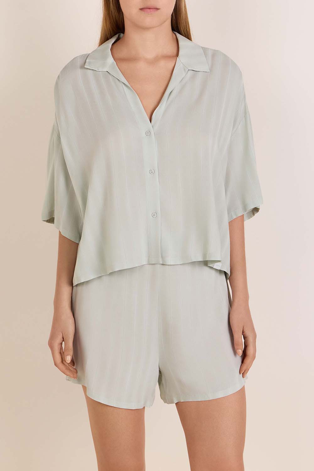 תמונת דוגמן קידמית של חולצת כפתורים