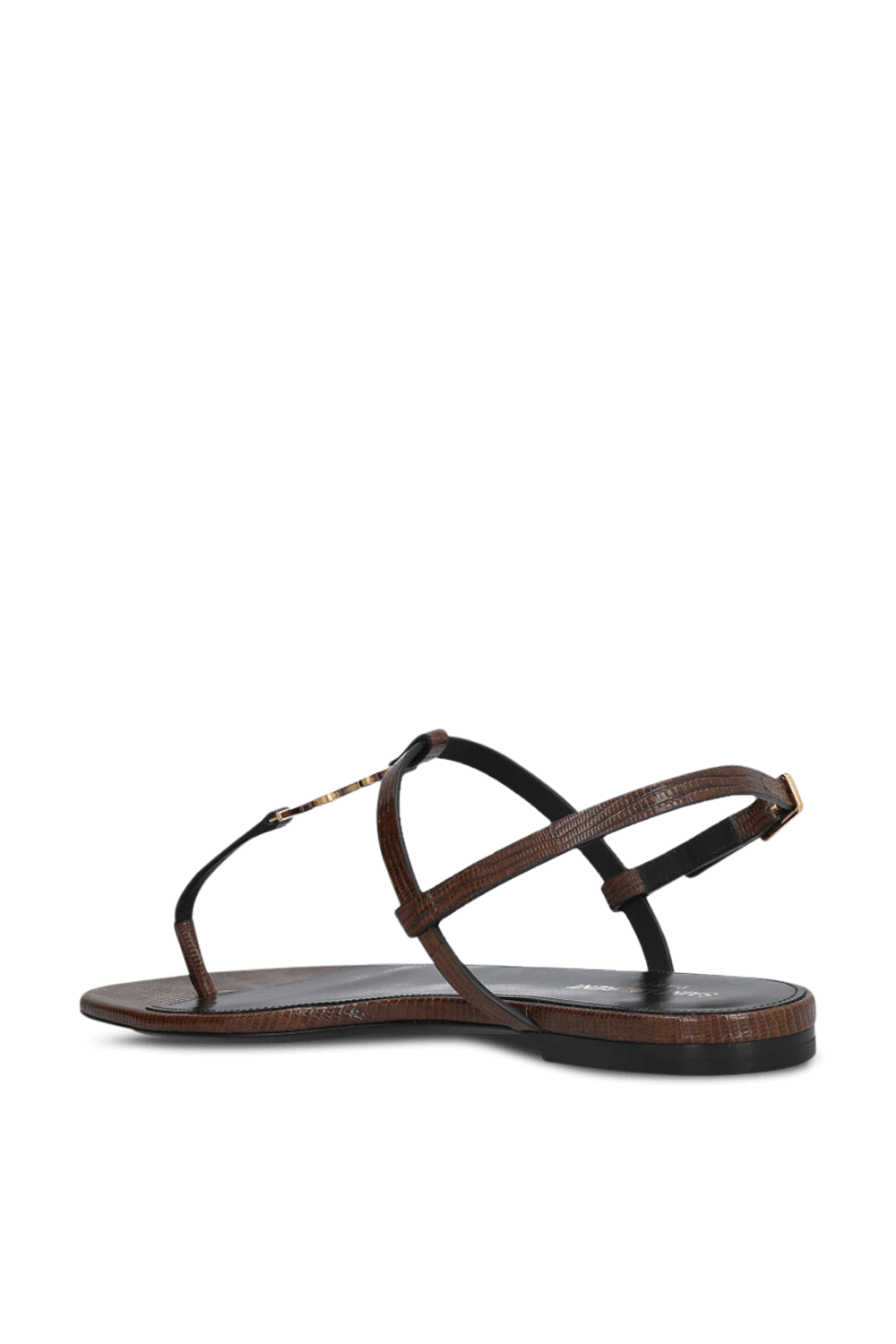 תמונה אחורית של סנדלי קסנדרה