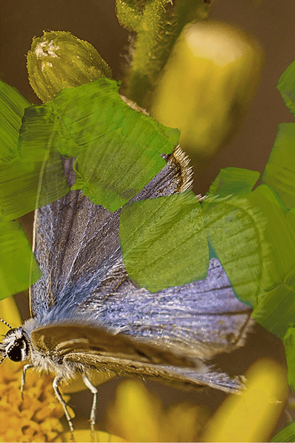 Inflorescence Eau de Parfum 100 ML