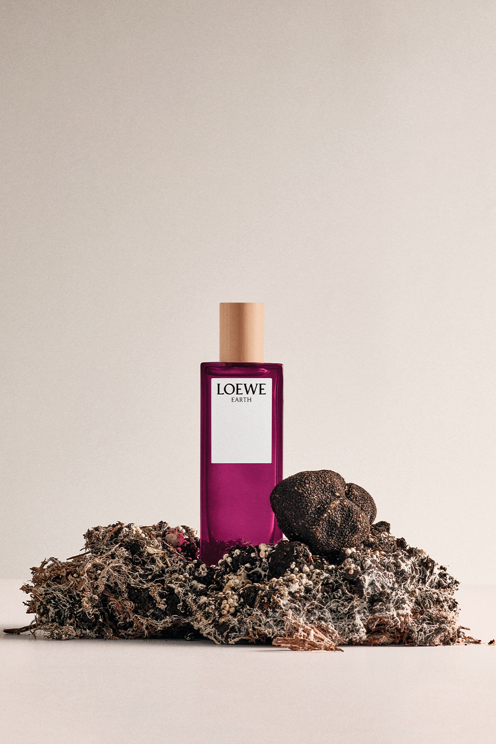 LOEWE Earth Eau de Parfum 100 ml