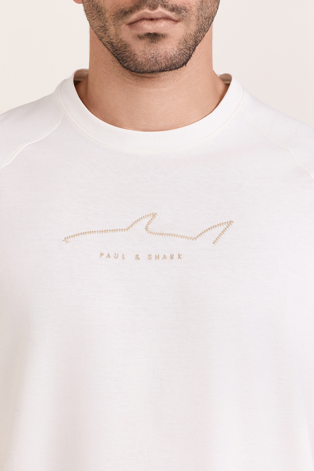 תמונת תקריב דוגמן של חולצת טי