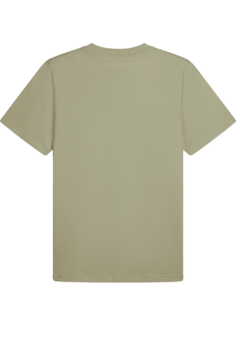 תמונה אחורית של חולצת טי