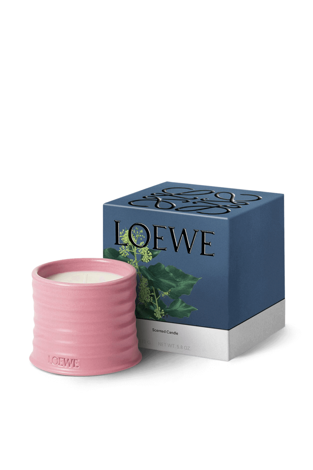 תמונה אחורית של LOEWE Ivy Small Scented Candle