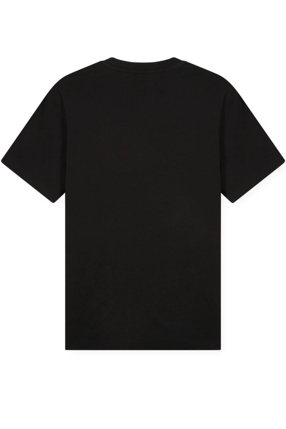 תמונה אחורית של חולצת טי