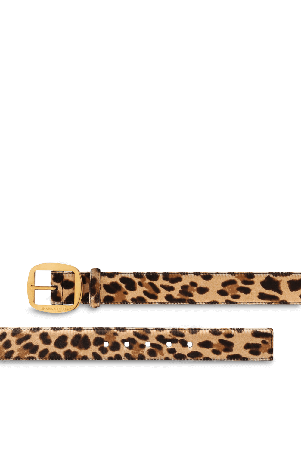 תמונה אחורית של חגורת עור