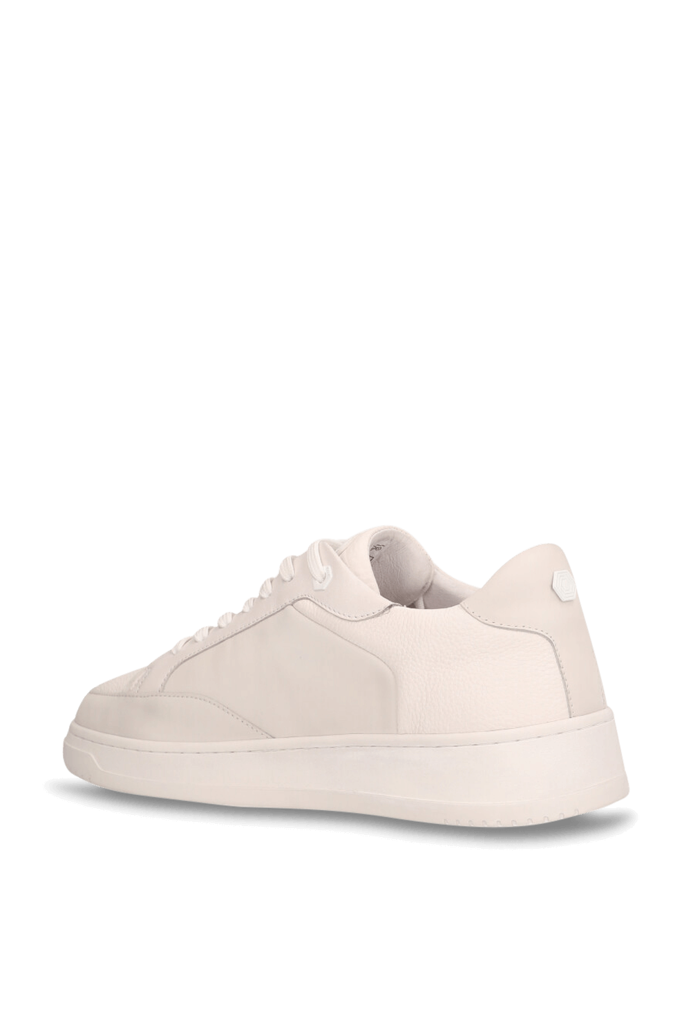 תמונה אחורית של נעלי סניקרס