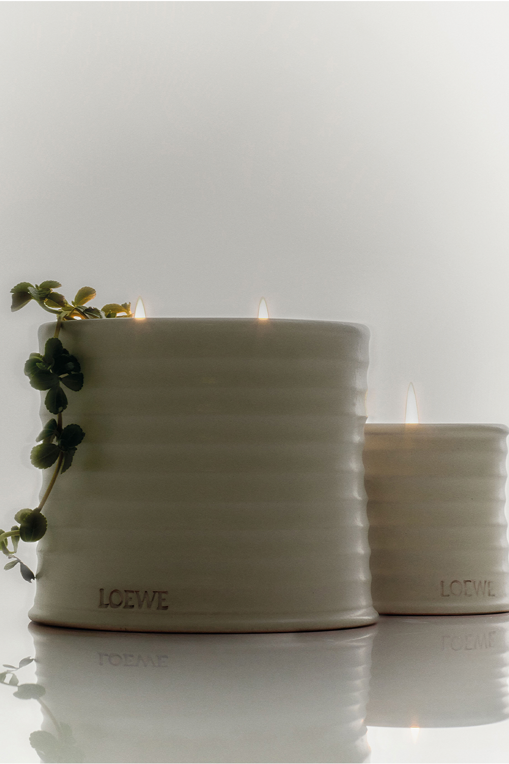 LOEWE Oregano Large Scented Candle