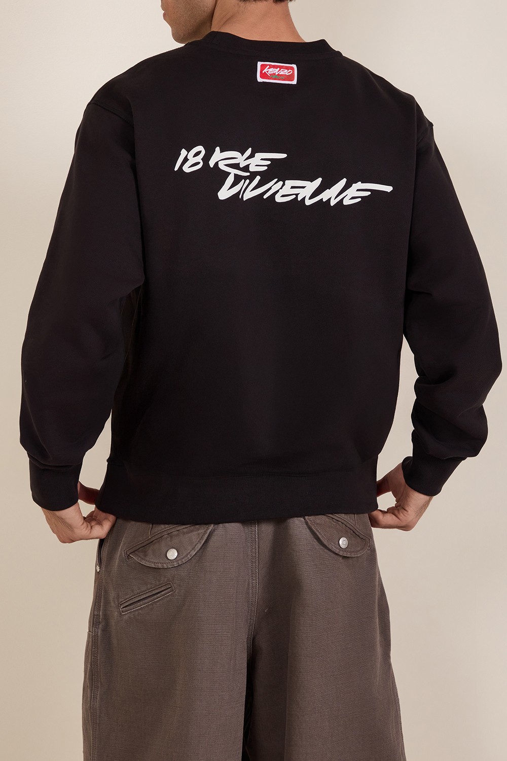 תמונת דוגמן אחורית של סווטשירט