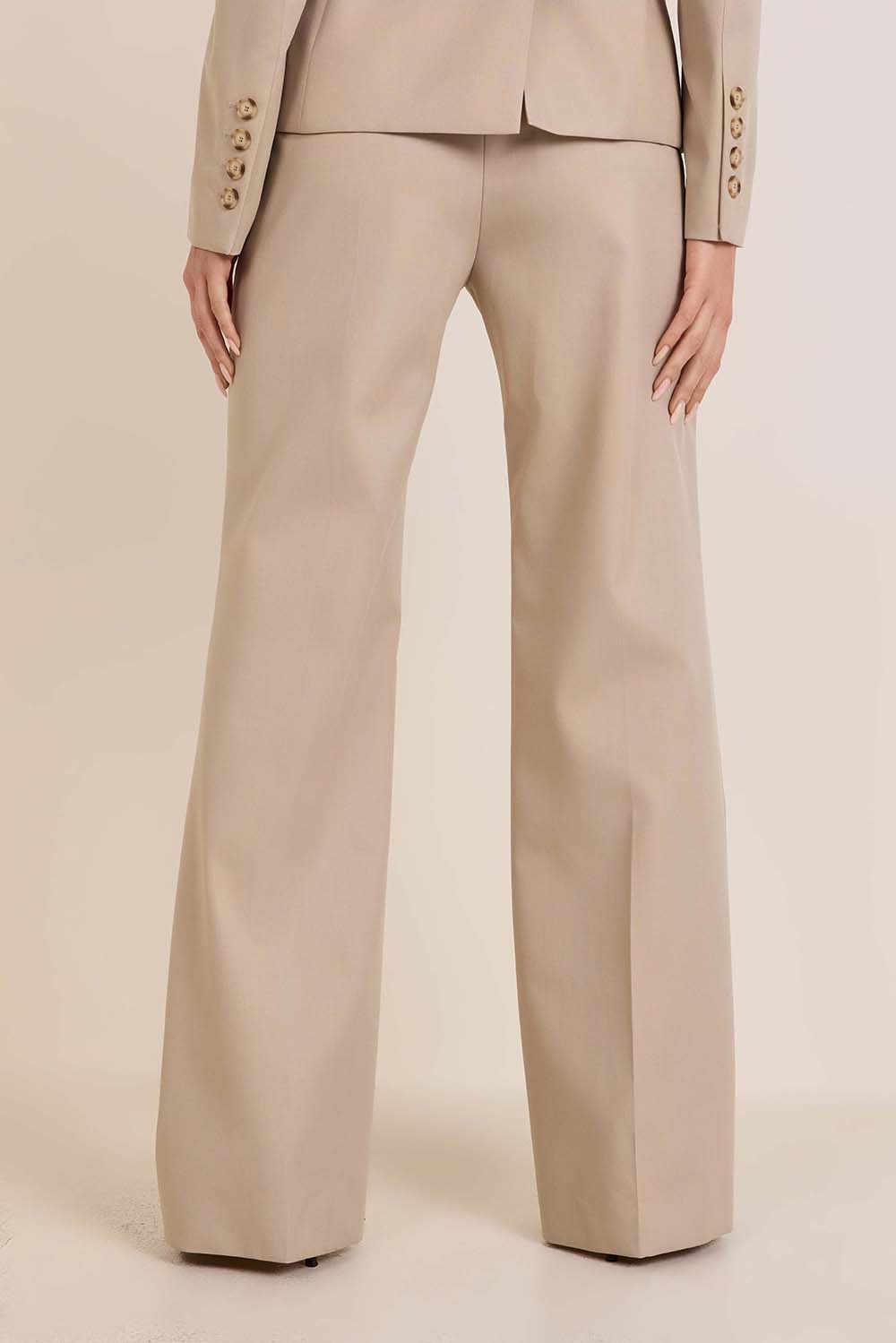 תמונת דוגמן אחורית של מכנסיים מחוייטים