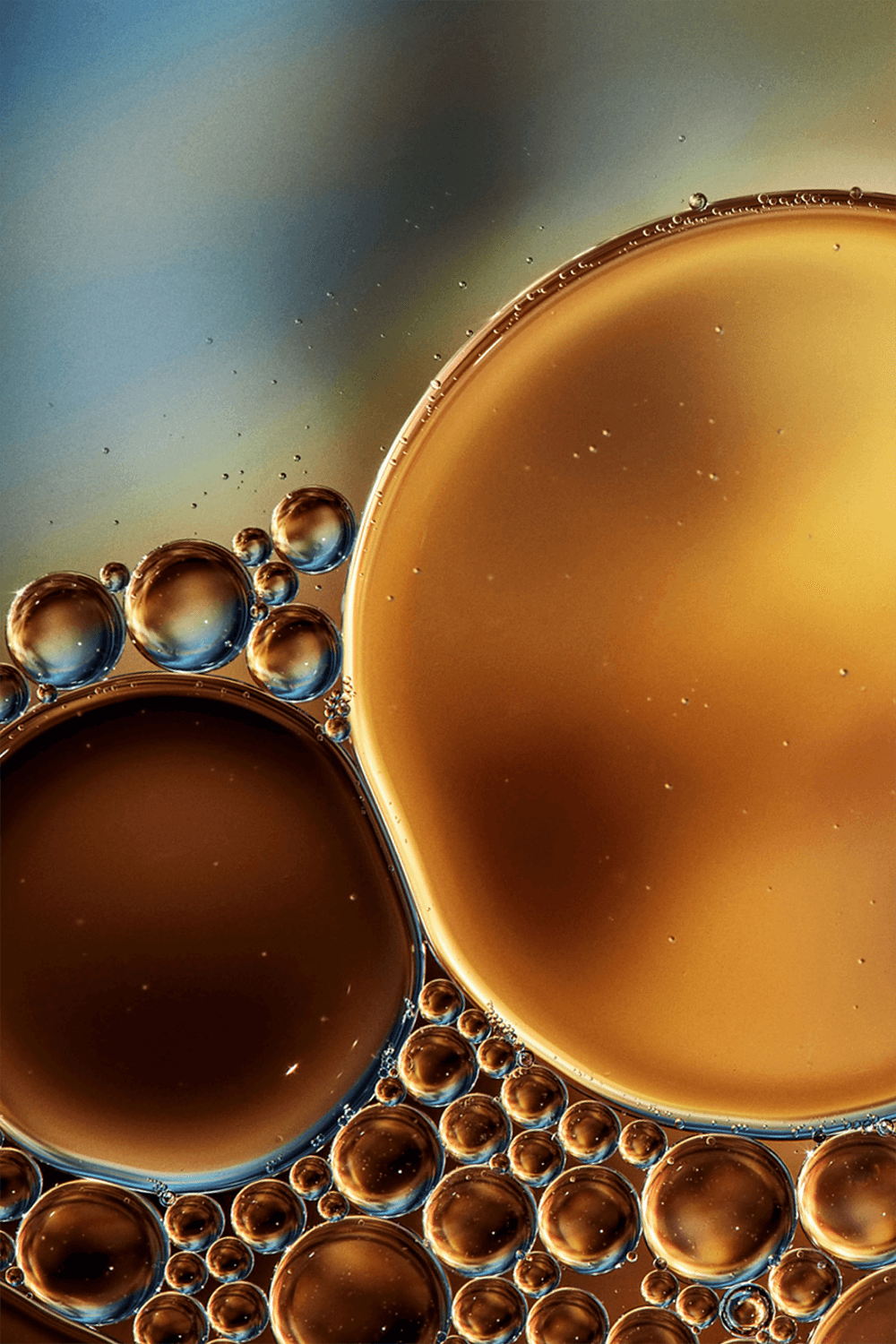 תמונת פנים של The Essential Tonic 100 ml