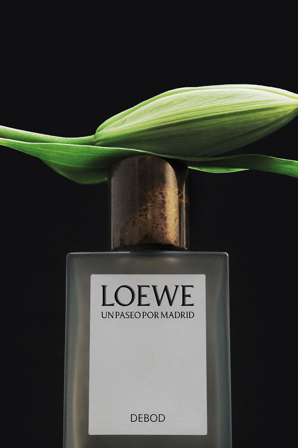 תמונת פנים של LOEWE UPPM Debod Eau de Parfum 100 ml