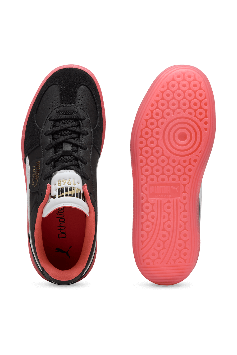 תמונת תקריב של נעלי סניקרס פאלרמו