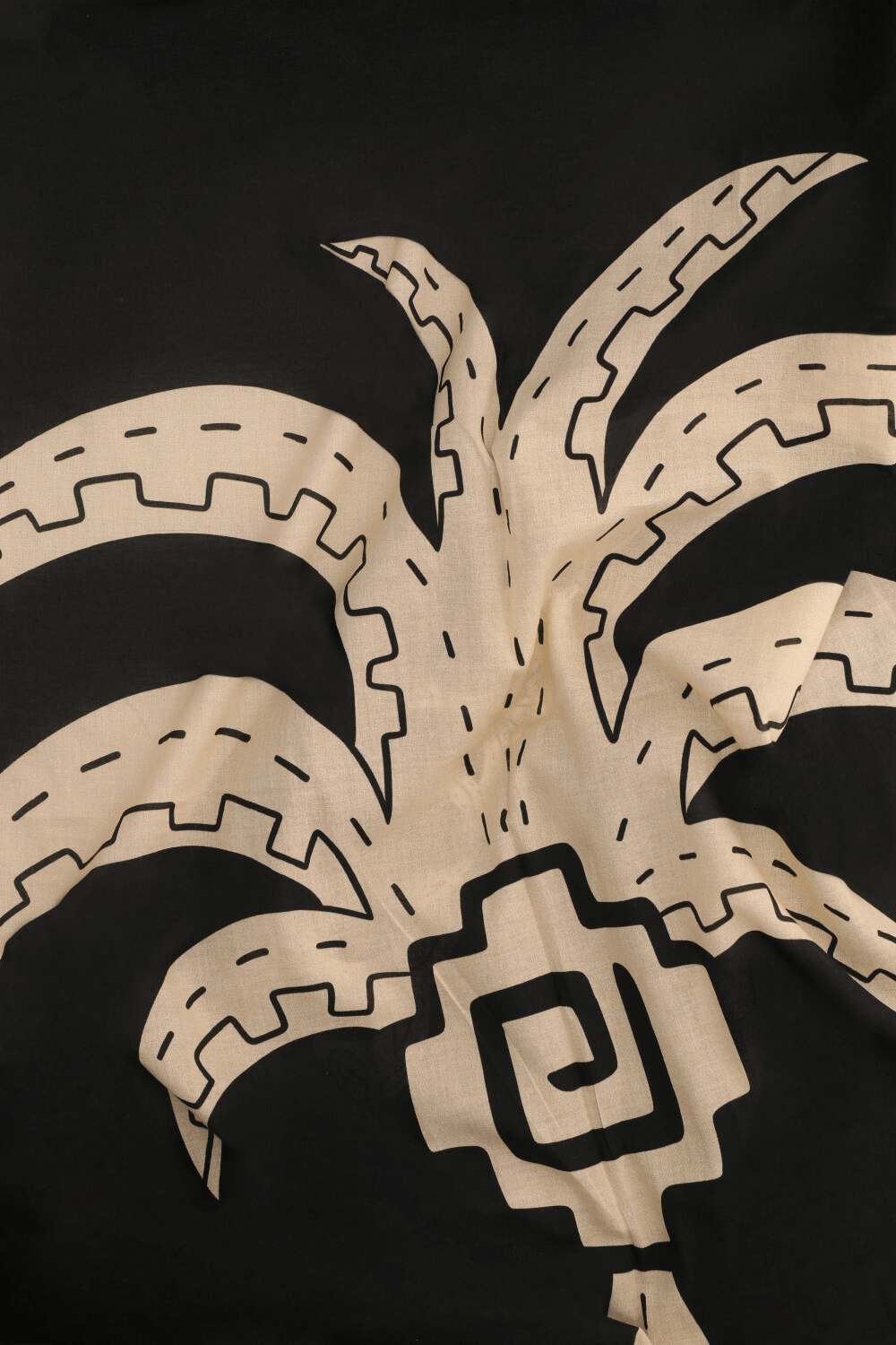 תמונה אחורית של פראו