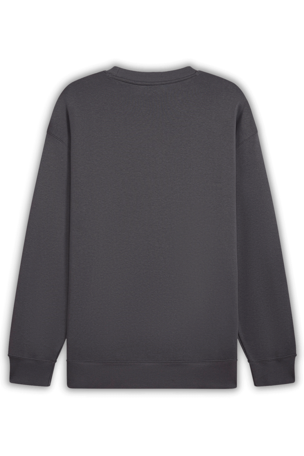 תמונה אחורית של סווטשירט