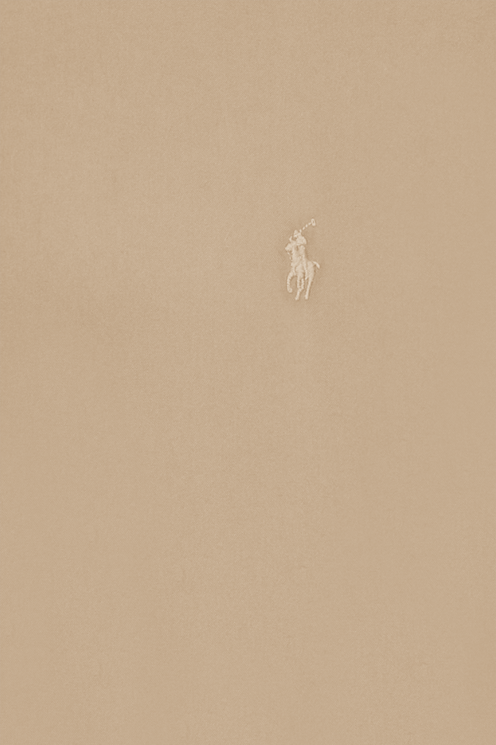 תמונה אחורית של חולצה מכופתרת מכותנה