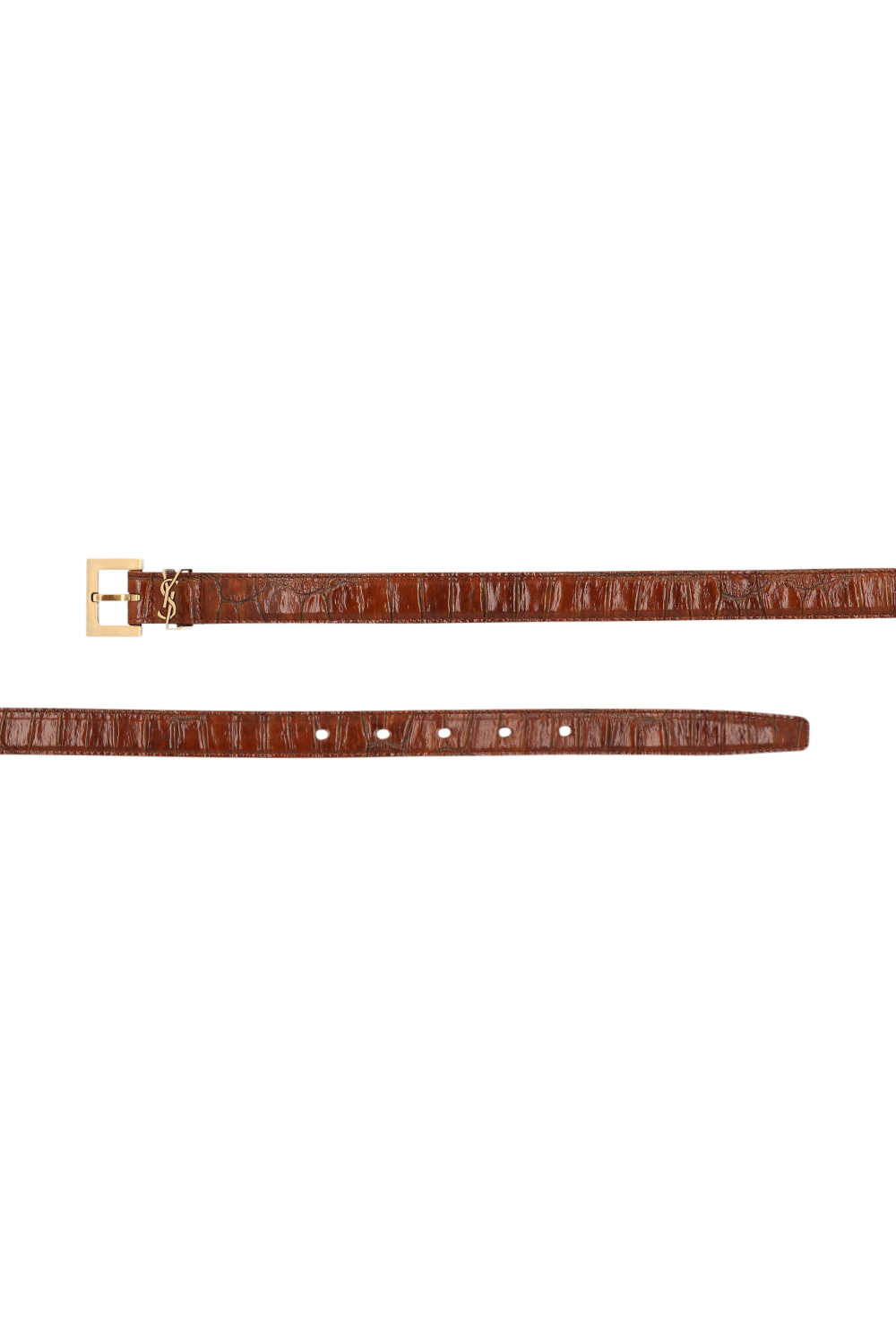 תמונה אחורית של חגורה