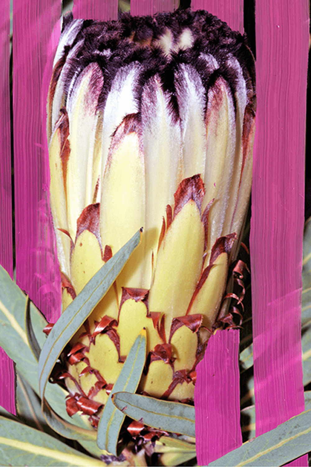 תמונת פנים של Inflorescence Eau de Parfum 50ml