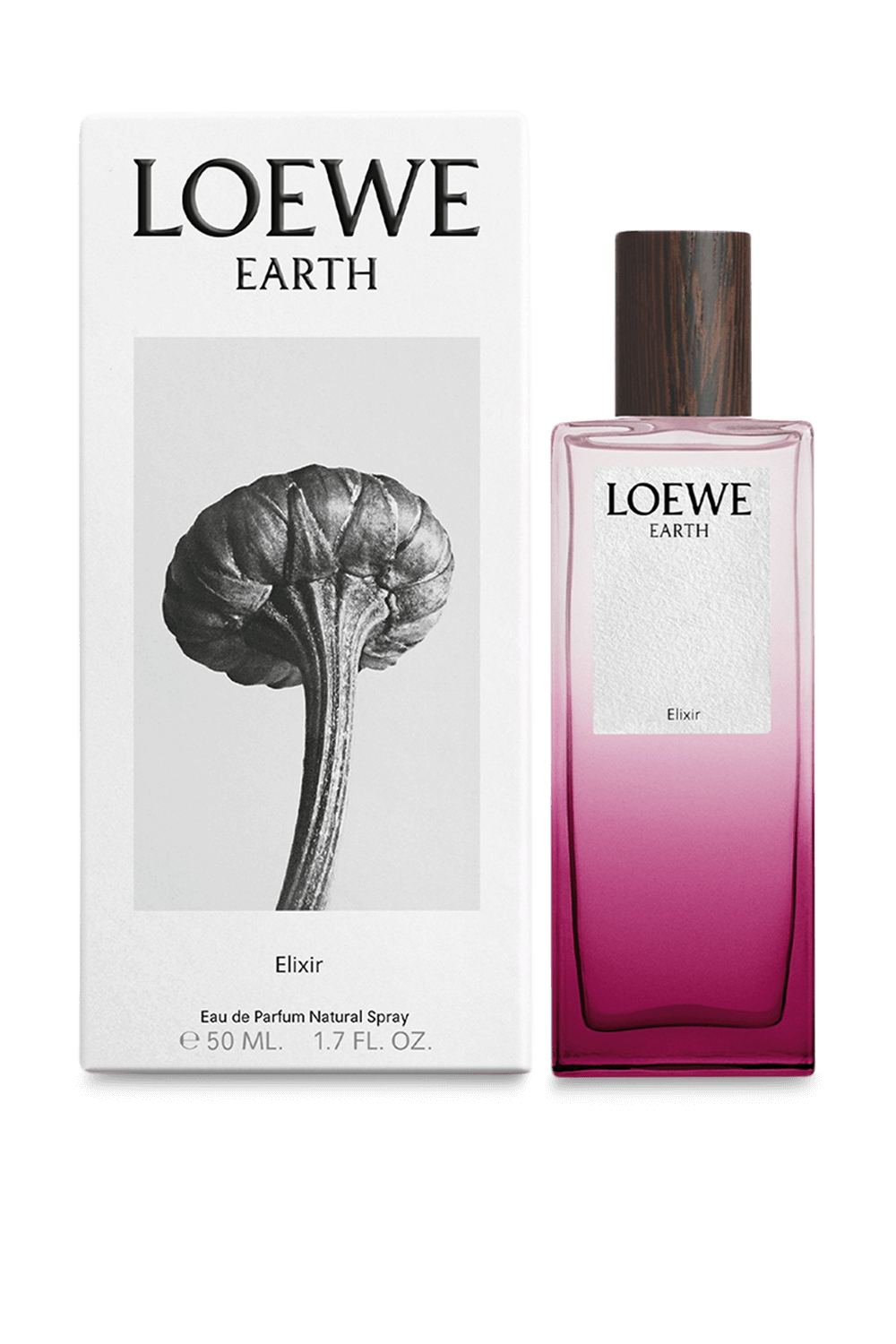 תמונה אחורית של LOEWE Earth Elixir 100 ml